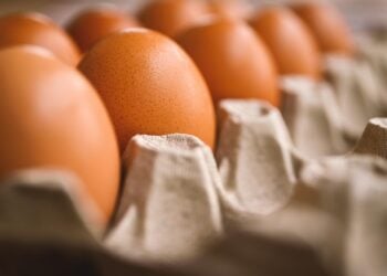 Nunca compre ovos no supermercado antes de saber disso - Imagem: Pixabay